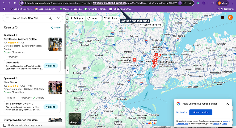 Google Maps Result