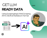 How to Structure Data for LLMs Using Our New Endpoint